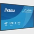 IIYAMA Zaslon 43" LH4364UHS-B1AG, 4K UHD, LED, Android, 500cd, crni